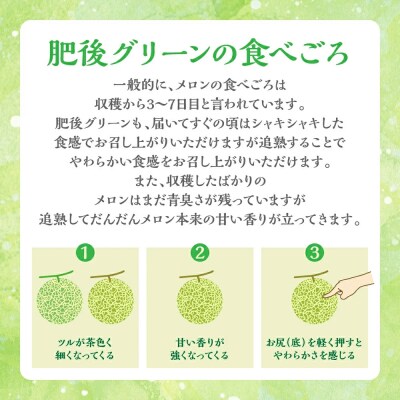 肥後グリーン 2玉 4L以上(合計4kg以上)メロン 果物_248-5990-B