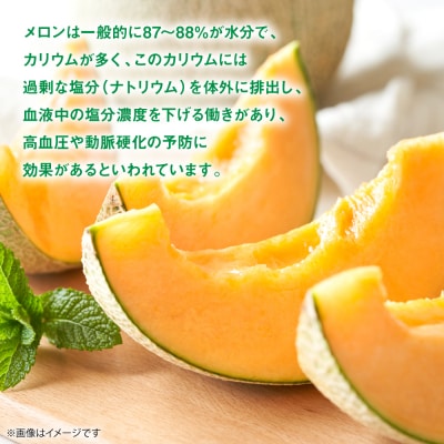 レノンメロン 2玉 4L以上(合計4kg以上)メロン 果物_248-6626-A