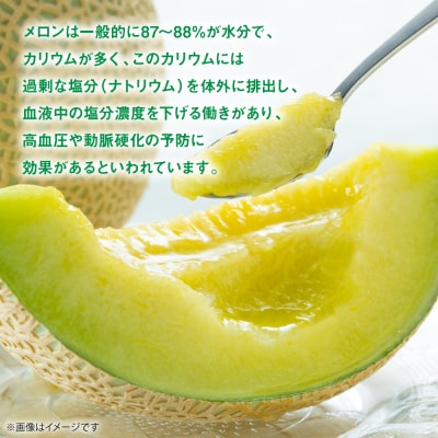 肥後グリーン&レノンメロン食べ比べセット 合計2玉 4L以上 メロン 果物_248-6627-A