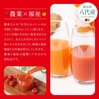 八代産完熟ミニとまとジュース 720ml(赤)・500ml(白)2本セット トマト_297-6810