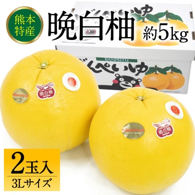 【先行予約】八代市産 晩白柚 3L 2玉 【2026年12月上旬より順次発送】_232-6025-B