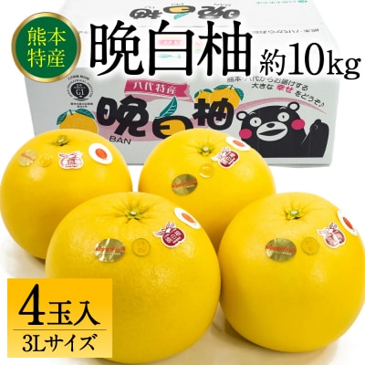 【先行予約】八代市産 晩白柚 3L 4玉 【2026年12月上旬より順次発送】_232-6026-B