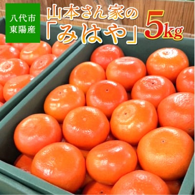 【先行予約】「みはや」 5kg みかん 【2026年12月上旬より順次発送】_065-2660-B