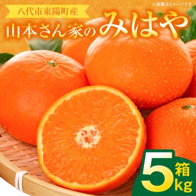 【先行予約】「みはや」 5kg みかん 【2026年12月上旬より順次発送】_065-2660-B