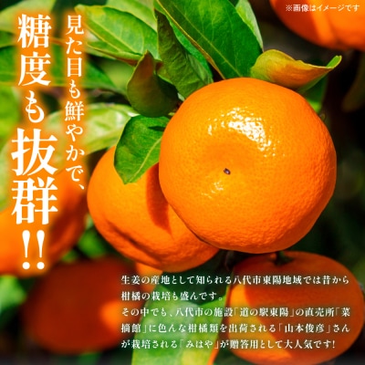 【先行予約】「みはや」 5kg みかん 【2026年12月上旬より順次発送】_065-2660-B