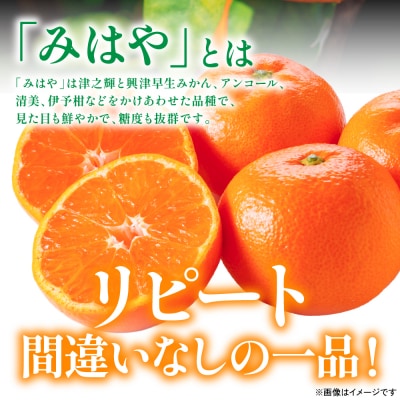 【先行予約】「みはや」 5kg みかん 【2026年12月上旬より順次発送】_065-2660-B