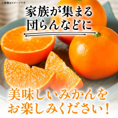 【先行予約】「みはや」 5kg みかん 【2026年12月上旬より順次発送】_065-2660-B