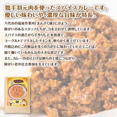 まんさく園のカレーセット(チキンカレー、グリーンカレー)各180g×1 カレー_086-6016-B