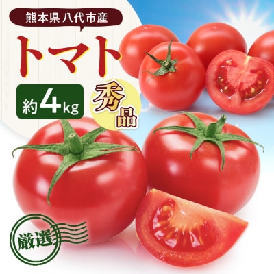 【先行予約】 熊本県八代市産 トマト 約4kg 【2027年1月上旬より順次発送】_229-6721