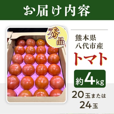 【先行予約】 熊本県八代市産 トマト 約4kg 【2027年1月上旬より順次発送】_229-6721