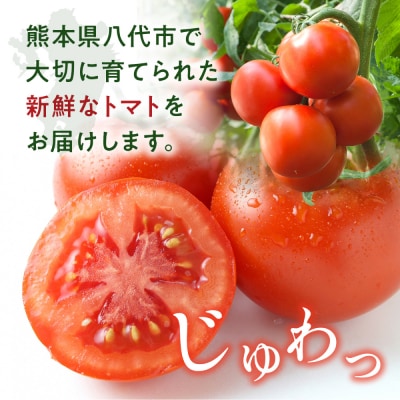 【先行予約】 熊本県八代市産 トマト 約4kg 【2027年1月上旬より順次発送】_229-6721