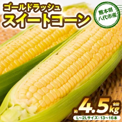 【先行予約】スイートコーン 約4.5kg【2026年6月上旬より順次発送】_131-4125-C