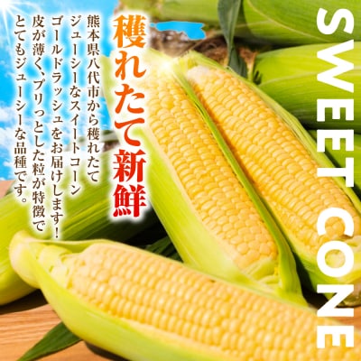 【先行予約】スイートコーン 約4.5kg【2026年6月上旬より順次発送】_131-4125-C