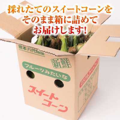 【先行予約】スイートコーン 約4.5kg【2026年6月上旬より順次発送】_131-4125-C