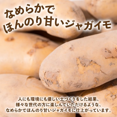 【先行予約】新じゃがいも 10kg【2026年6月上旬より順次発送】_131-5269-B