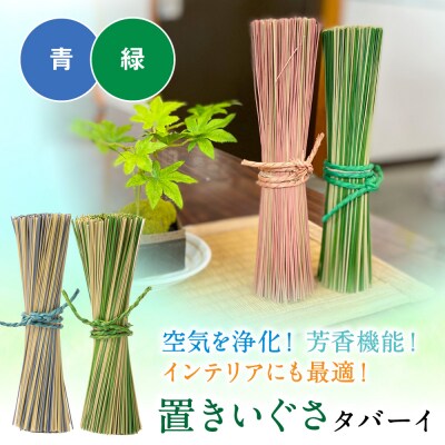 置きいぐさ(タバーイ)2本セット 青×緑_024-4648-BG-B