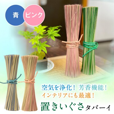 置きいぐさ(タバーイ)2本セット 青×ピンク_024-4648-BP-B