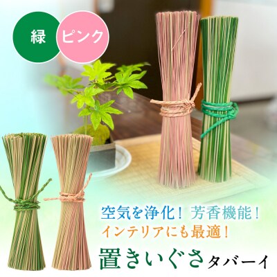 置きいぐさ(タバーイ)2本セット 緑×ピンク_024-4648-GP-B