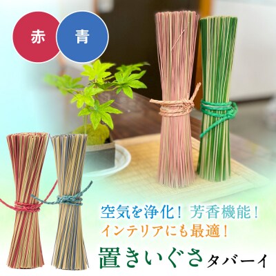 置きいぐさ(タバーイ)2本セット 赤×青_024-4648-RB-B