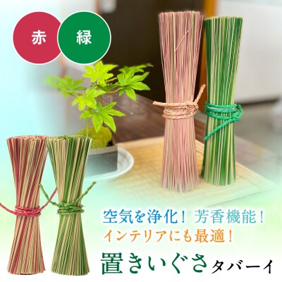 置きいぐさ(タバーイ)2本セット 赤×緑_024-4648-RG-B