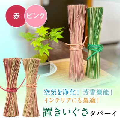 置きいぐさ(タバーイ)2本セット 赤×ピンク_024-4648-RP-B
