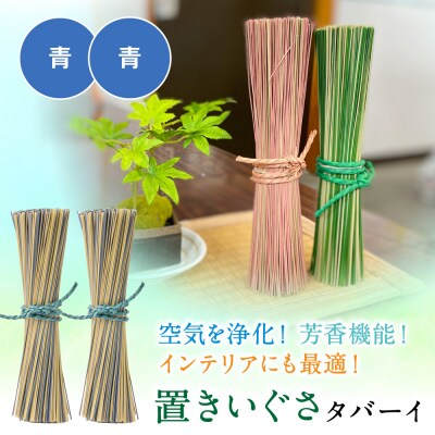 置きいぐさ(タバーイ)2本セット 青×青_024-4648-BB-B
