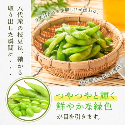 【先行予約】枝豆 1.5kg えだまめ【2026年7月上旬より順次発送】_229-6722