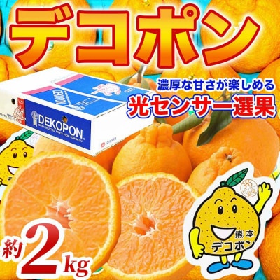 【先行予約】 デコポン 約2kg (5～9玉)【2026年12月上旬より順次発送】_232-6603