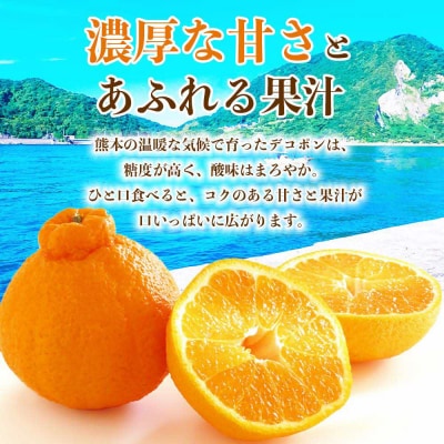 【先行予約】 デコポン 約2kg (5～9玉)【2026年12月上旬より順次発送】_232-6603