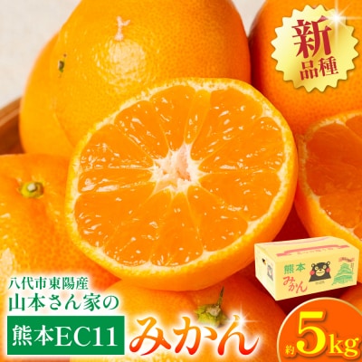 【先行予約】熊本EC11みかん 約5kg 【2026年11月上旬より順次発送】_065-6459-A