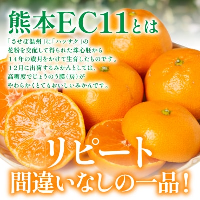 【先行予約】熊本EC11みかん 約5kg 【2026年11月上旬より順次発送】_065-6459-A