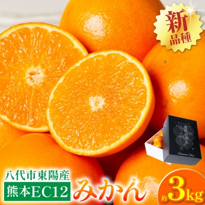 【先行予約】熊本EC12みかん 約3kg 【2026年12月上旬より順次発送】_065-6650-A