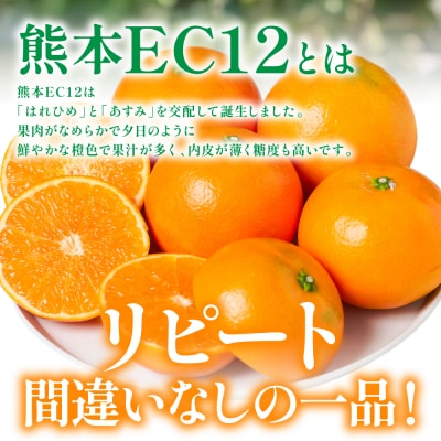 【先行予約】熊本EC12みかん 約3kg 【2026年12月上旬より順次発送】_065-6650-A