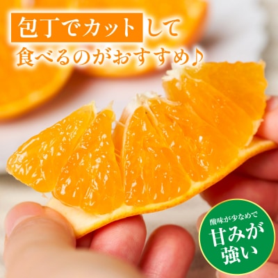 【先行予約】熊本EC12みかん 約3kg 【2026年12月上旬より順次発送】_065-6650-A
