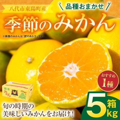 【先行予約】 季節のみかん5kg 【2026年9月下旬より順次発送】_065-4728-F
