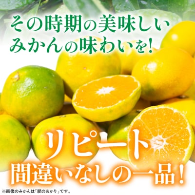 【先行予約】 季節のみかん5kg 【2026年9月下旬より順次発送】_065-4728-F