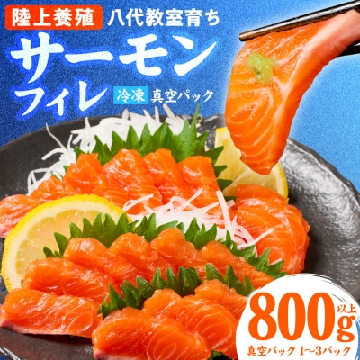 八代 教室育ちサーモン フィレ800g以上_295-6808