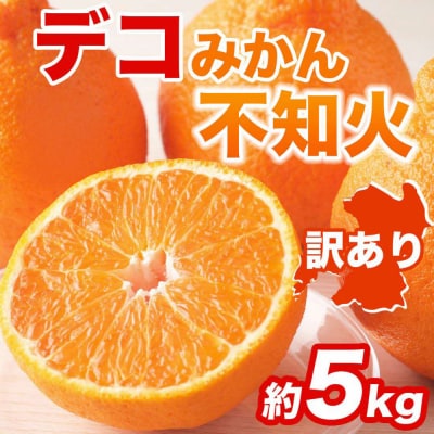 【先行予約】【訳あり】不知火 約5kg【2027年1月中旬より順次発送】_232-6724