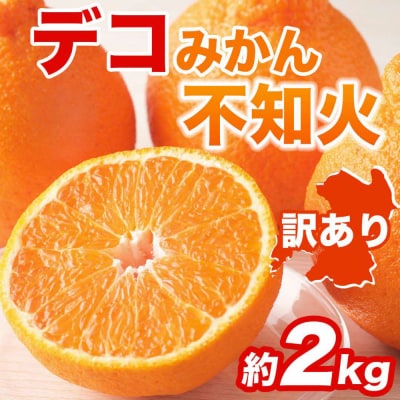【先行予約】【訳あり】不知火 約2kg【2027年1月中旬より順次発送】_232-6723