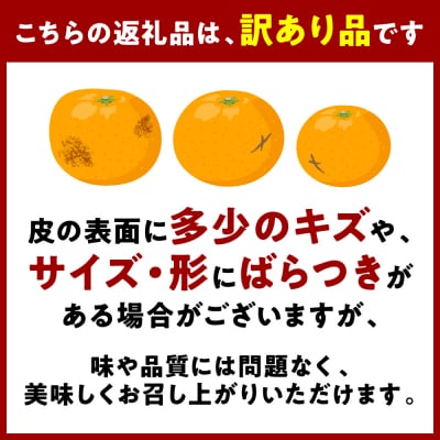 【先行予約】【訳あり】不知火 約2kg【2027年1月中旬より順次発送】_232-6723