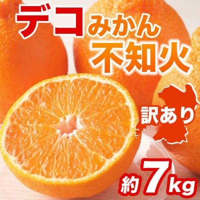 【先行予約】【訳あり】不知火 約7kg【2027年1月中旬より順次発送】_232-6725