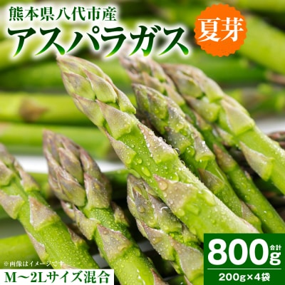 アスパラガス 800g(M～2L)_294-6726