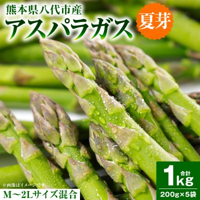 アスパラガス 1kg(M～2L)_294-6727