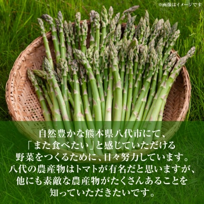 アスパラガス 1kg(M～2L)_294-6727
