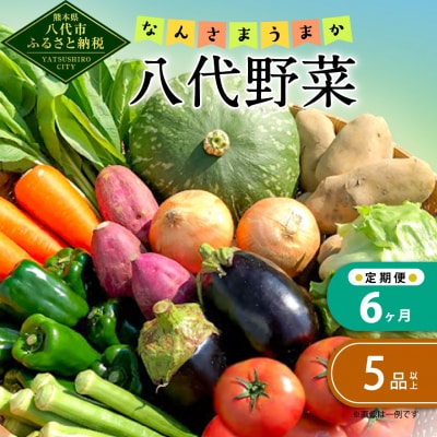 【定期便6回】なんさまうまか八代野菜セット 5品以上 やさい_001-2208-C