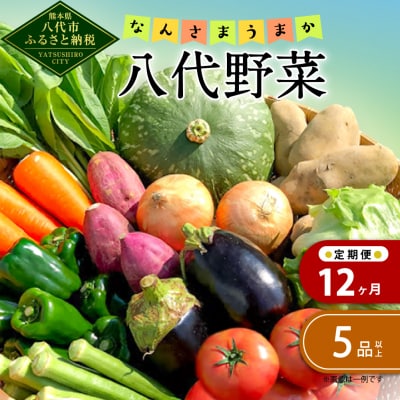 【定期便12回】なんさまうまか八代野菜セット 5品以上_001-4643-C