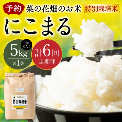 先行予約 R8年産 特別栽培米5kg×定期6回【2026年12月上旬～順次発送】134-4089-D