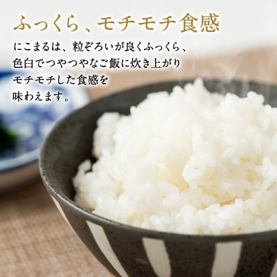 先行予約 R8年産 特別栽培米5kg×定期6回【2026年12月上旬～順次発送】134-4089-D