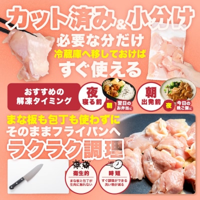 九州産 若鶏 むね 切身 合計4.2kg (300g×14袋)_291-7011