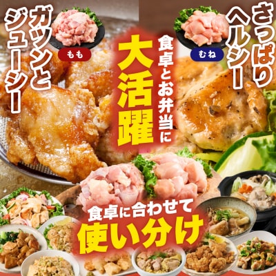 九州産 若鶏 もも むね 切身 セット 合計4.8kg 各2.4kg_291-7014